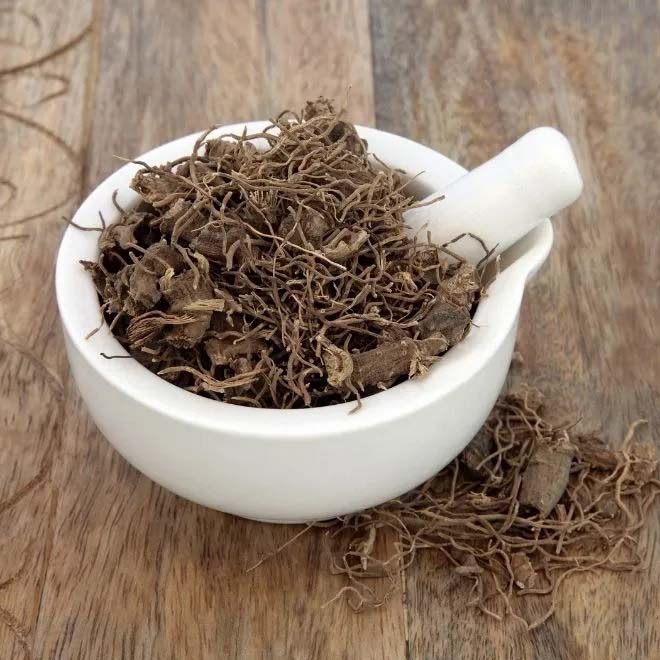 Cohosh đen