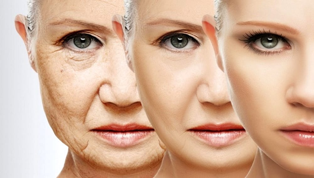 Collagen có tác dụng gì với sức khỏe con người như thế nào