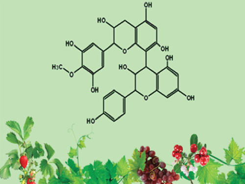 Collagen Label N - RESKIN 2