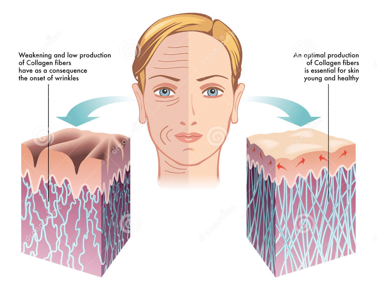 Collagen Label N giá bao nhiêu?