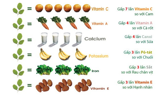 Công dụng của chùm ngây với sức khỏe con người như thế nào3