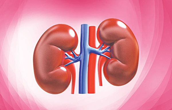 Công dụng của củ cải với sức khỏe con người như thế nào