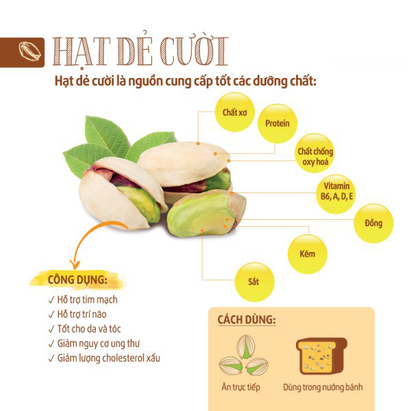 Công dụng của hạt dẻ cười như thế nào