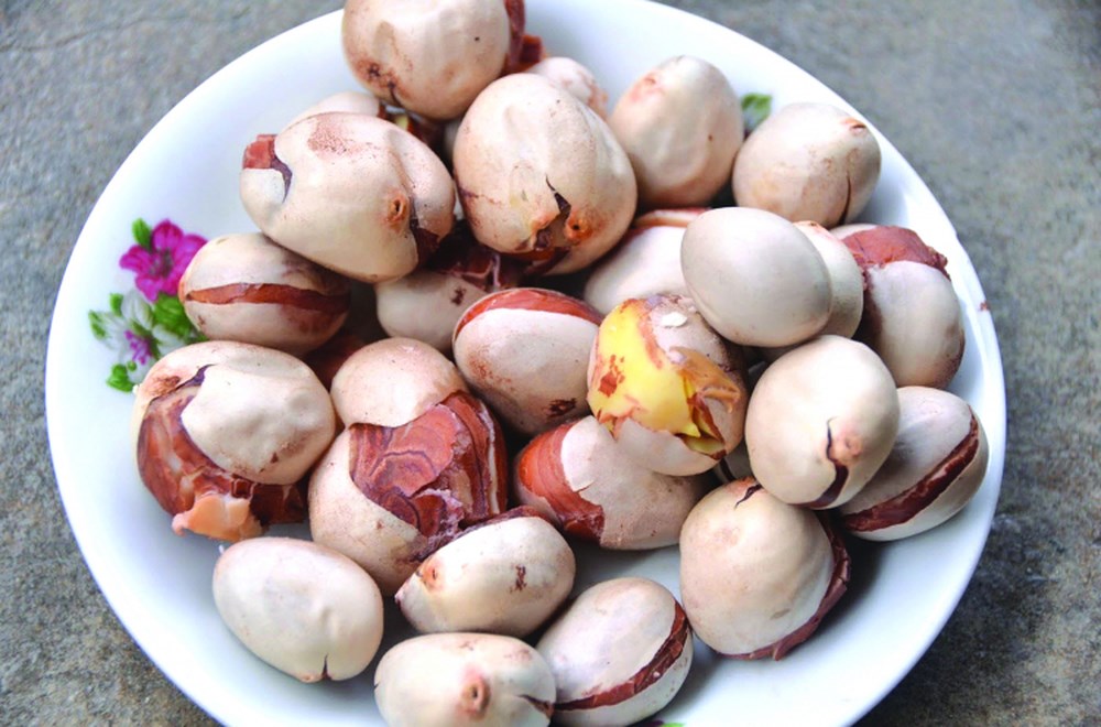 Công dụng của hạt mít với sức khỏe con người như thế nào