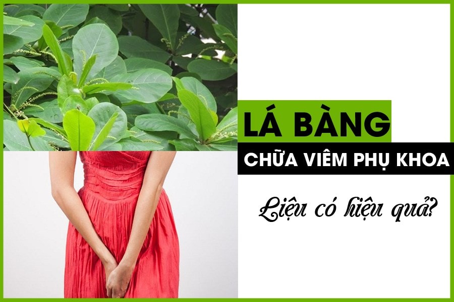 Công dụng của lá bàng với sức khỏe như thế nào