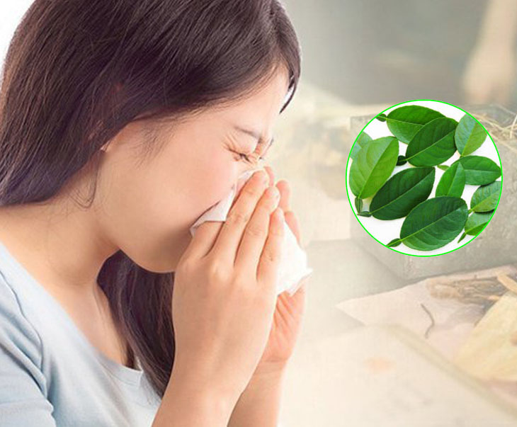 Công dụng của lá chanh với sức khỏe như thế nào