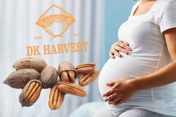 Công dụng của quả hồ đào với sức khỏe con người như thế nào