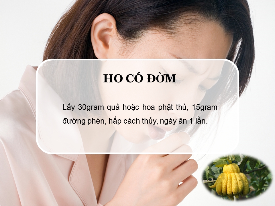 Công dụng của quả phật thủ với sức khỏe con người như thế nào