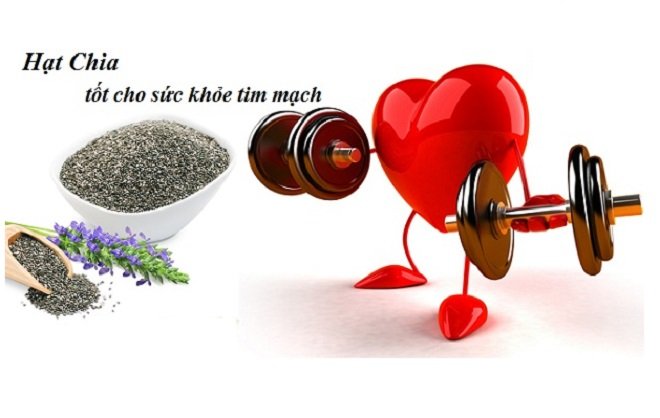 Công dụng hạt chia với sức khỏe con người như thế nào
