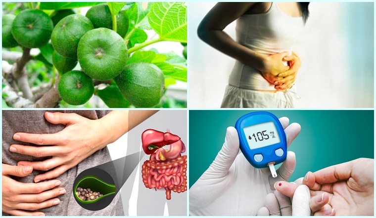 Công dụng lá sung với sức khỏe con người như thế nào