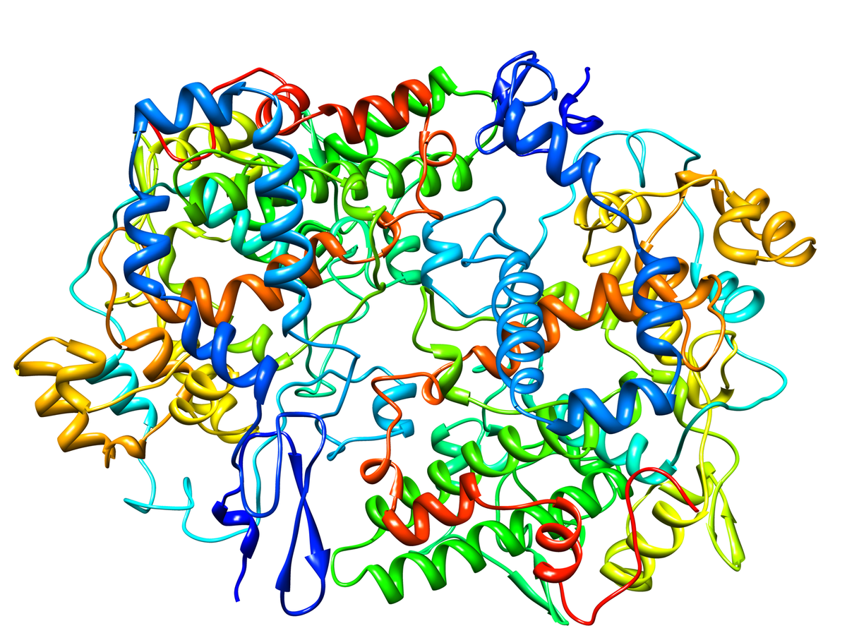 Cyclooxygenase