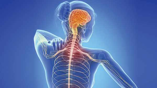 Dấu hiệu của tiền mãn kinh sớm như thế nào