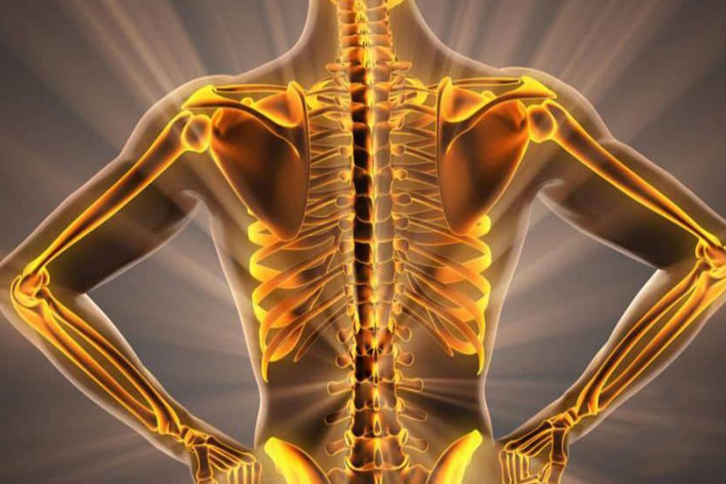 Đậu nành có tác dụng gì với sức khỏe con người