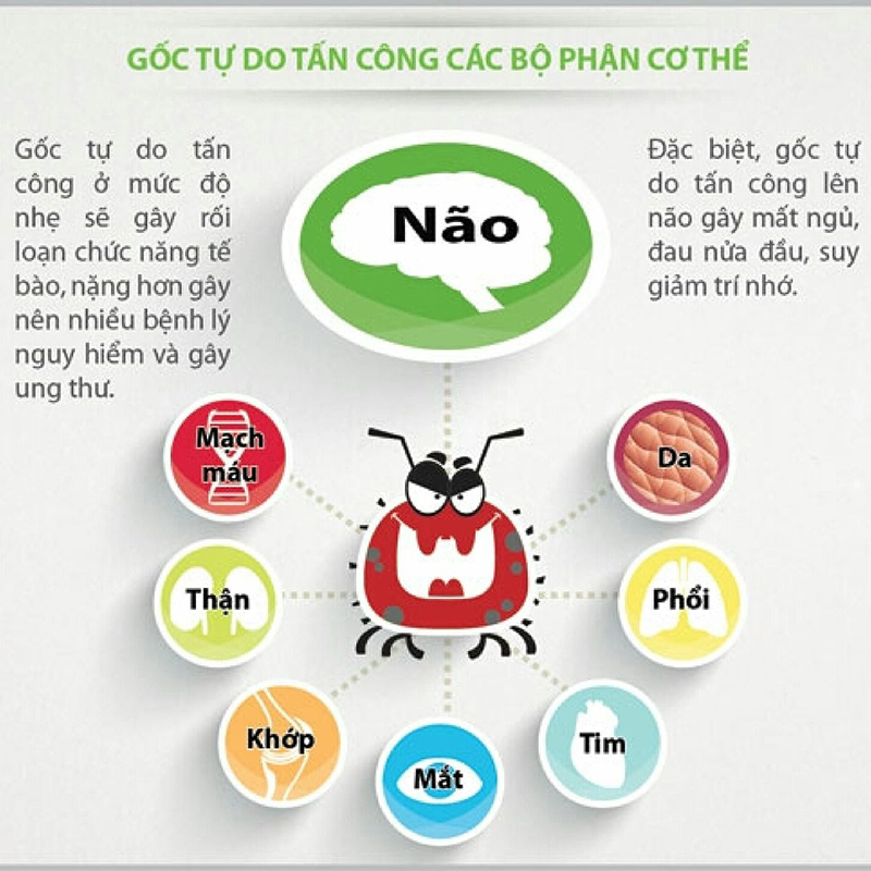 Đối phó với gốc tự do tác nhân gây bệnh không nhiễm khuẩn