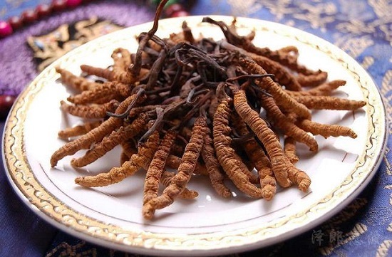 Đông trùng hạ thảo cordyceps 950