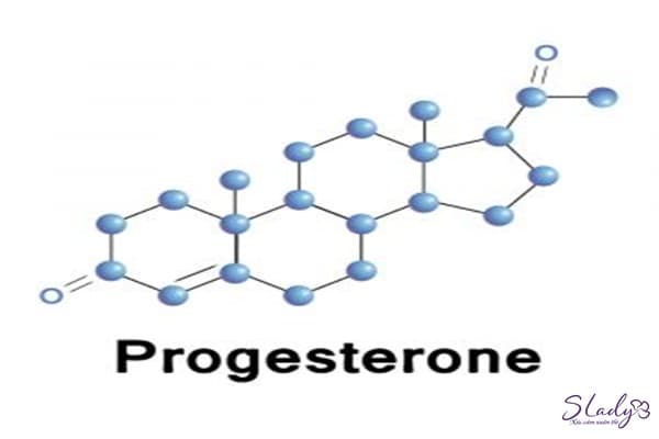 Estrogen và progesteronen là gì và có tác dụng ra sao