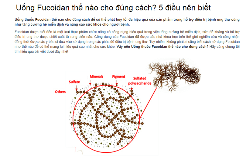 Fucoidan có tác dụng phụ không