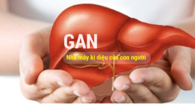 Top 2 thuốc giải độc gan tốt nhất hiện nay