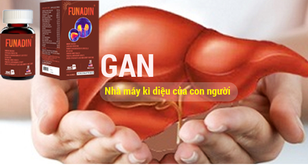 Bị gan nhiễm mỡ uống thuốc gì tốt nhất hiện nay