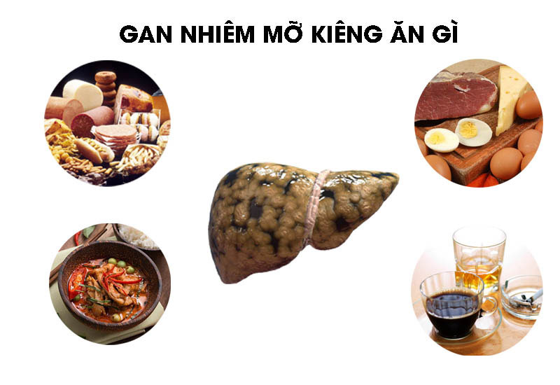 Gan nhiễm mỡ có ăn được quả bơ không