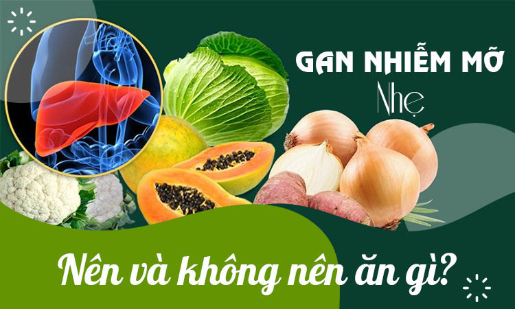 Gan nhiễm mỡ nhẹ ăn gì và cách phòng bệnh ra sao