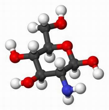 Glucosamin và công dụng của nó với hệ xương khớp