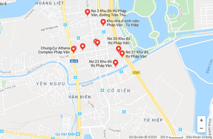 Hải cẩu hoàn trị bệnh gì và cách dùng hiệu quả nhất