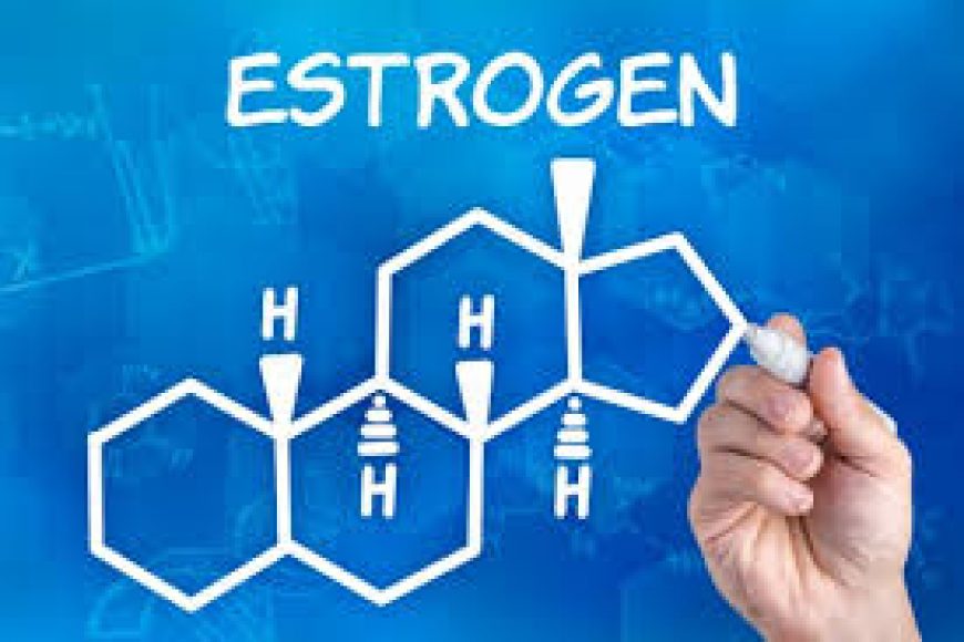 Hoocmon estrogen có tác dụng gì