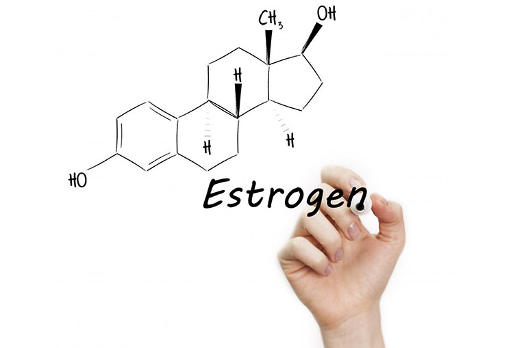 Hoocmon estrogen có tác dụng gì
