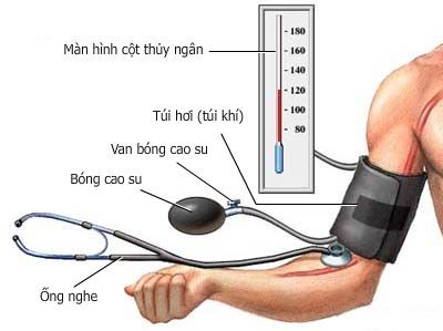 huyết áp và nhịp tim bình thường là bao nhiêu và cách phòng bệnh