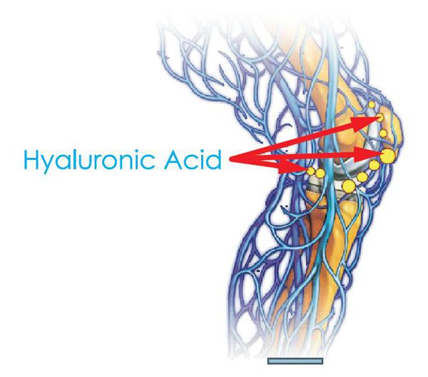 Hyalunoric acid  có tác dụng gì và mua ở đâu1