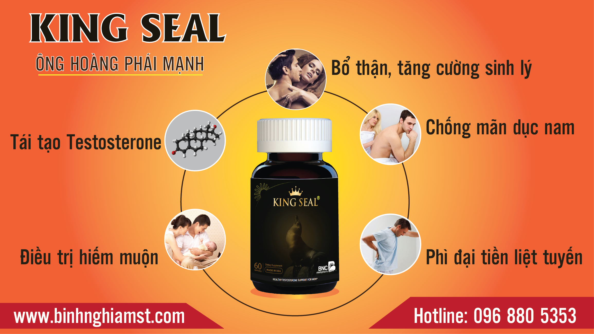 king seal - vua hải cẩu