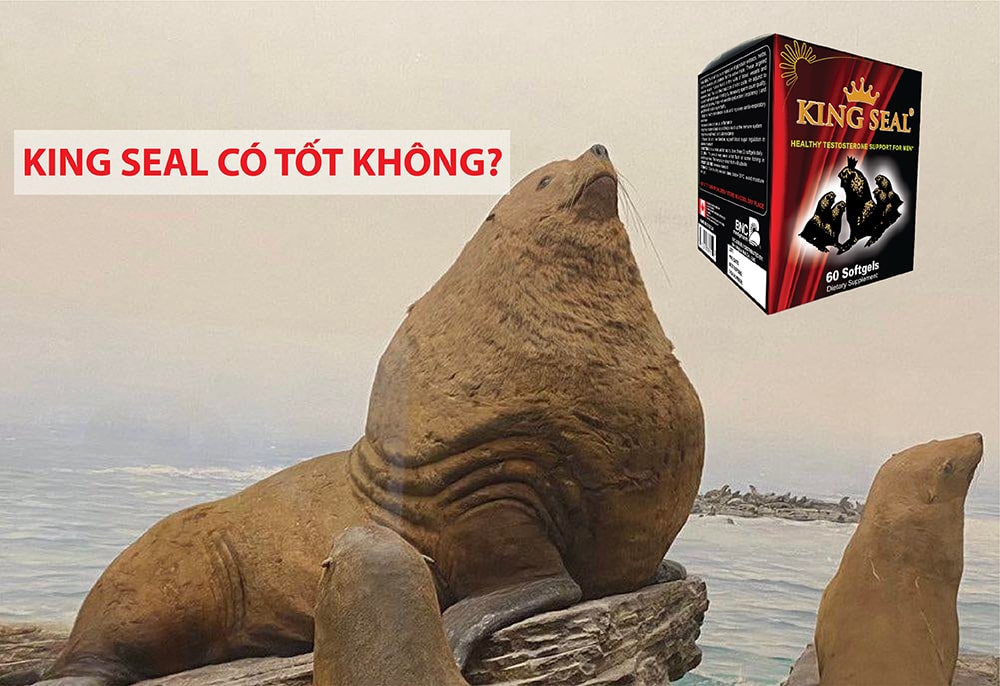 Review hải cẩu hoàn King Seal có tốt không, giá bao nhiêu, mua ở đâu