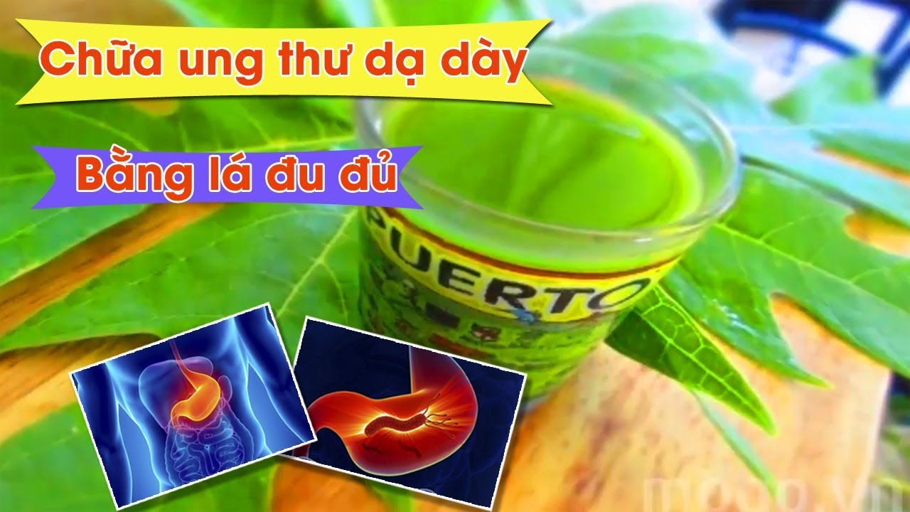 Lá đu đủ chữa ung thư dạ dày như thế nào