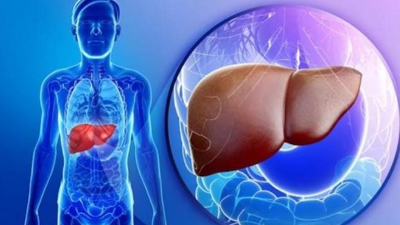 Lá vọng cách có tác dụng gì với sức khỏe con người