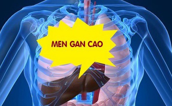 Men gan cao nên ăn những thức ăn gì tốt cho bệnh