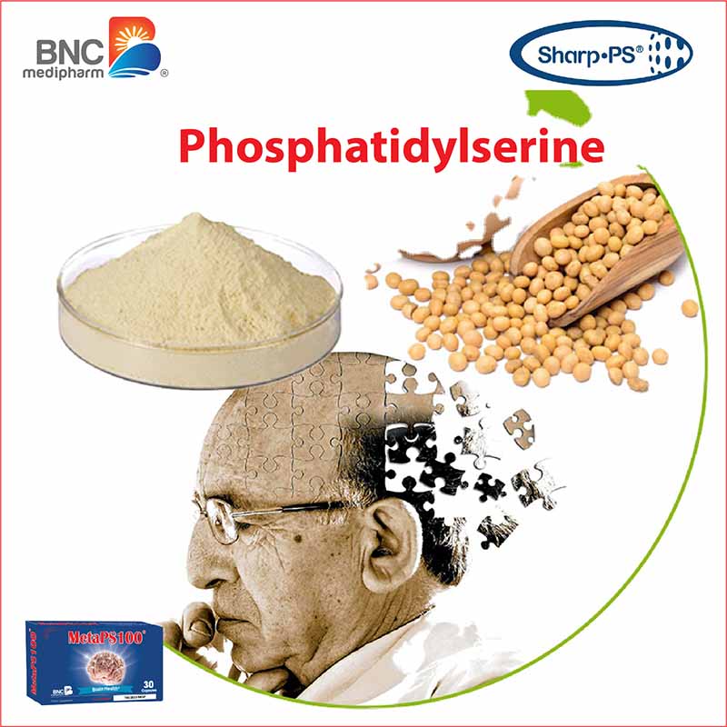 Phosphatidylserine