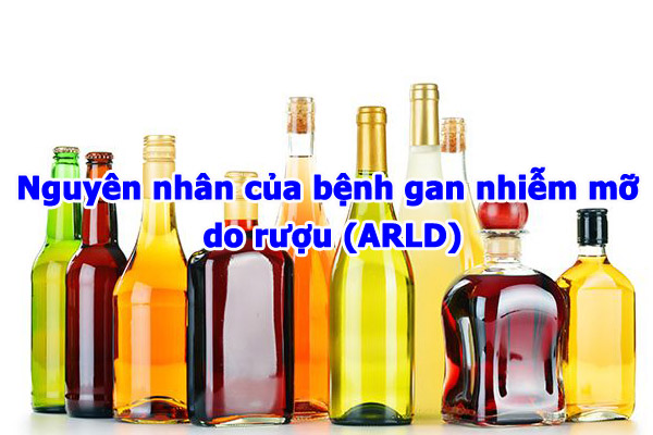 bia rượu, thức uống có cồn