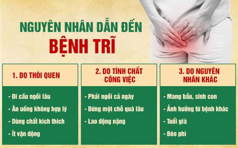Nguyên nhân của bệnh trĩ và cách điều trị hiệu quả 