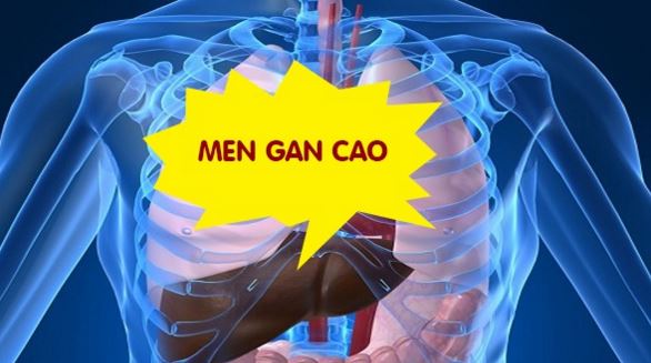 Nguyên nhân dẫn đến men gan cao là gì và cách khắc phục bệnh