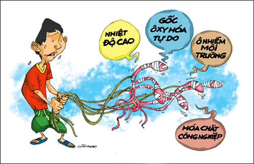 nguyên nhân khiến tinh trùng ít, yếu