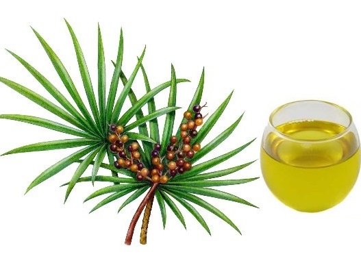 phì đại tuyến tiền liệt