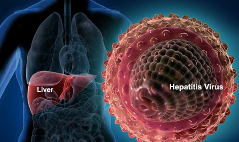 Nhiễm virus viêm gan b có chữa khỏi được không