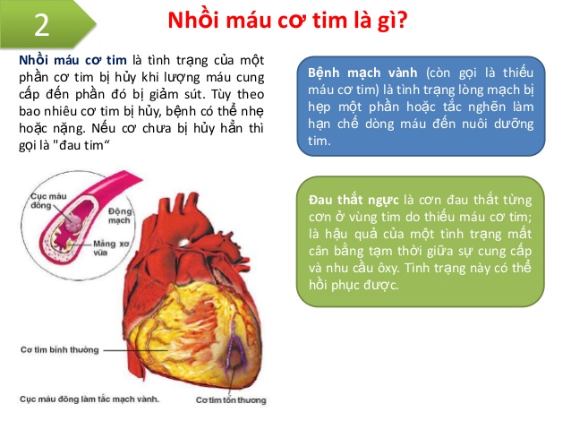 Nhịp tim đập chậm có nguy hiểm không và cách khắc phục