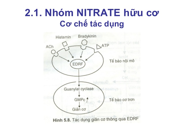 Nhóm thuốc điều trị nhồi máu cơ tim là những loại nào