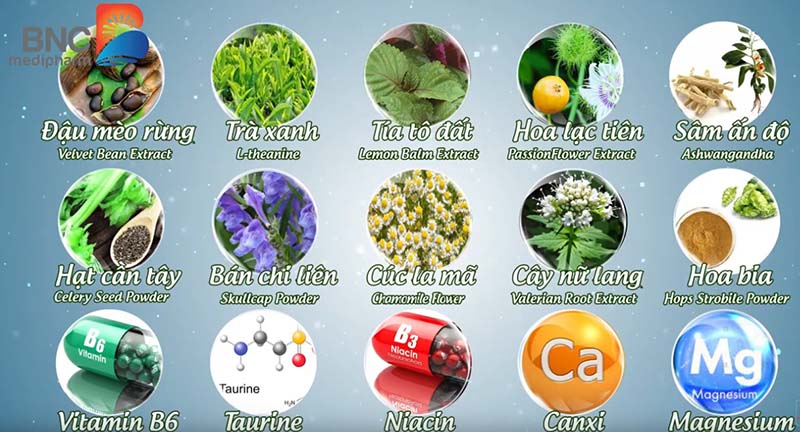  Các thành phần có trong PM Nature Pro