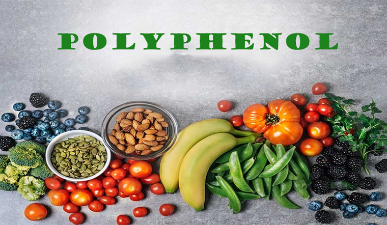 Polyphenol có tác dụng gì với sức khỏe con người
