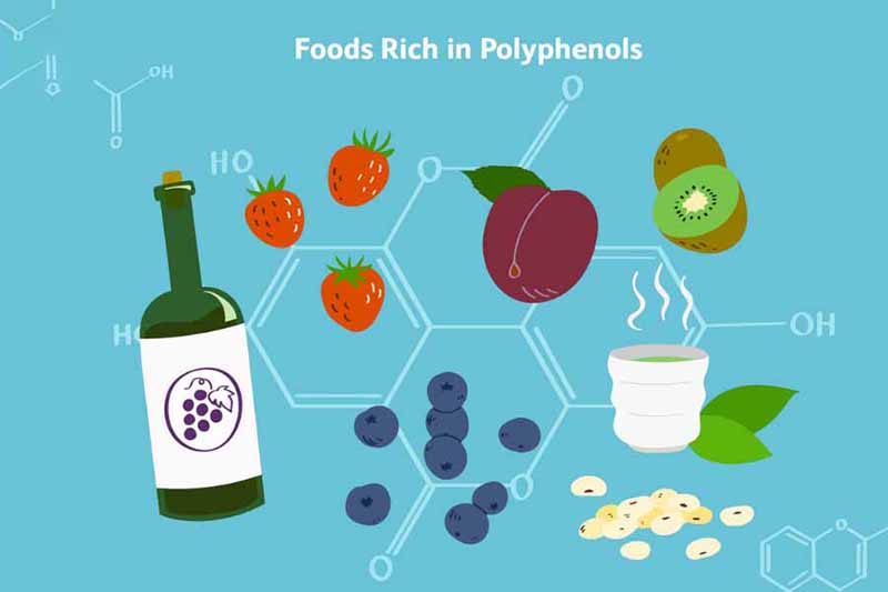 Polyphenol có tác dụng gì với sức khỏe con người