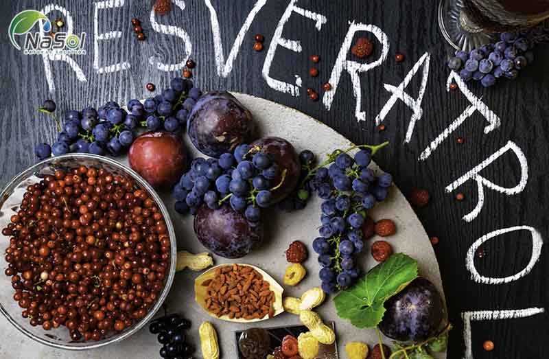 Resveratrol có tác dụng gì với sức khỏe con người