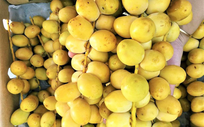 Rối loạn kinh nguyệt nên ăn gì